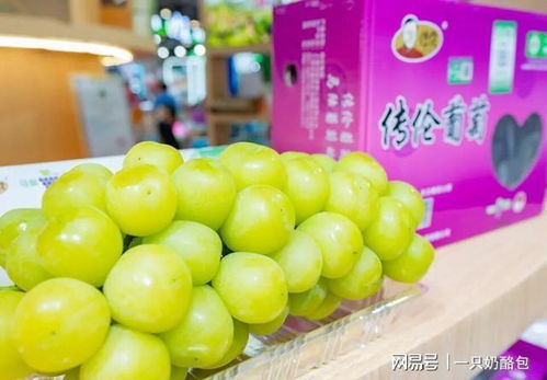 滬產(chǎn)優(yōu)品產(chǎn)銷會(huì)放異彩 四款明星苗木農(nóng)產(chǎn)品憑啥出圈